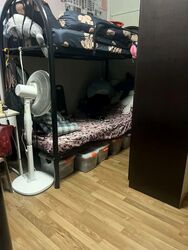 Blk 246 Yishun Sunshine (Yishun), HDB 4 Rooms #560593221